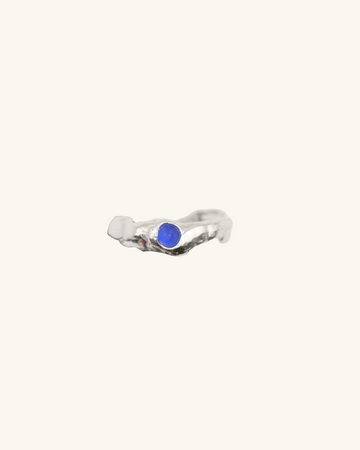 Anillo Atishaya Minima