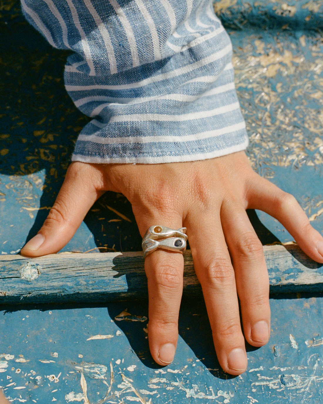 Anillo Pez